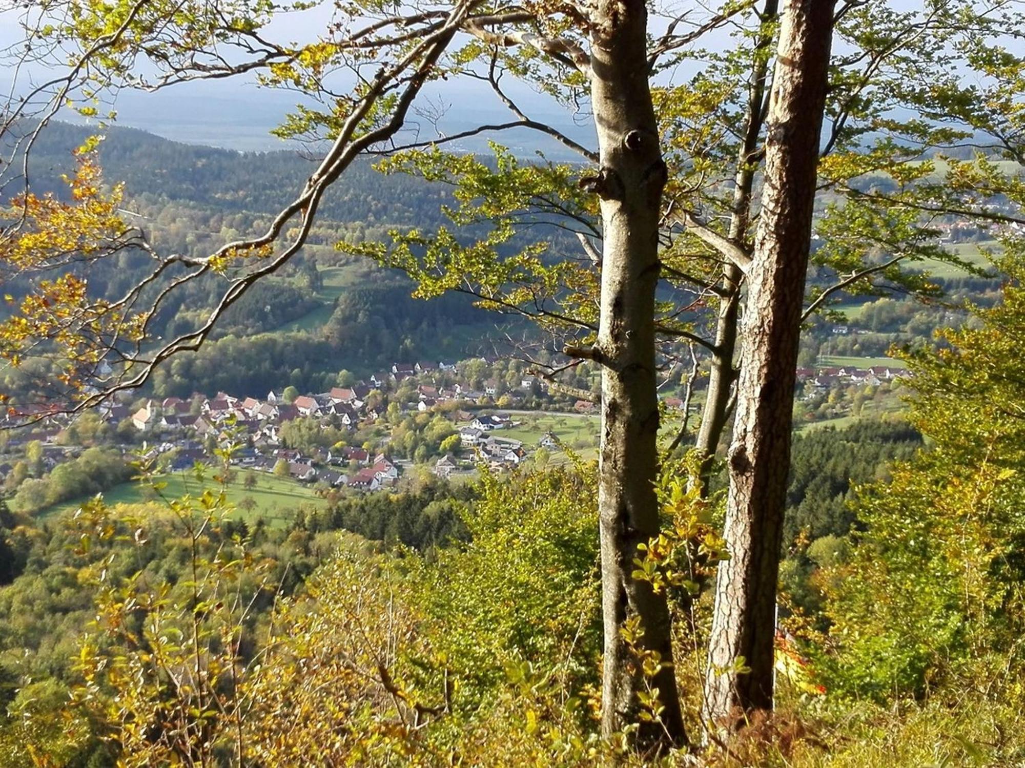 Ferienwohnung Schatz Albstadt Εξωτερικό φωτογραφία